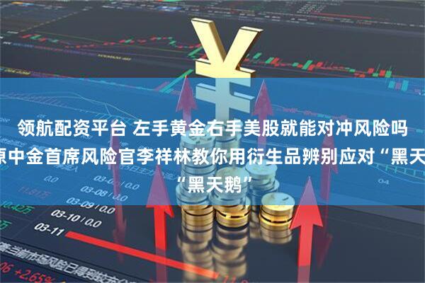 领航配资平台 左手黄金右手美股就能对冲风险吗？原中金首席风险官李祥林教你用衍生品辨别应对“黑天鹅”